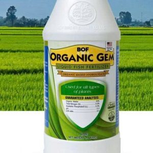 PHÂN BÓN HỮU CƠ BOF ORGANIC GEM